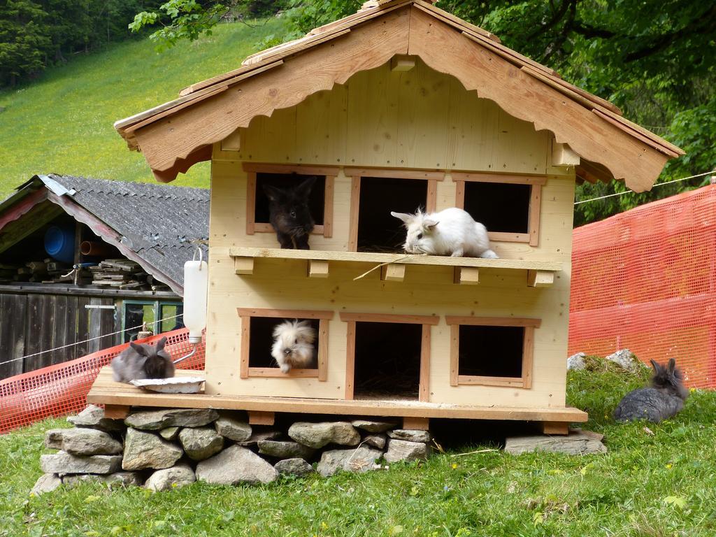 Schieplechnerhof Apartment Schladming Ngoại thất bức ảnh