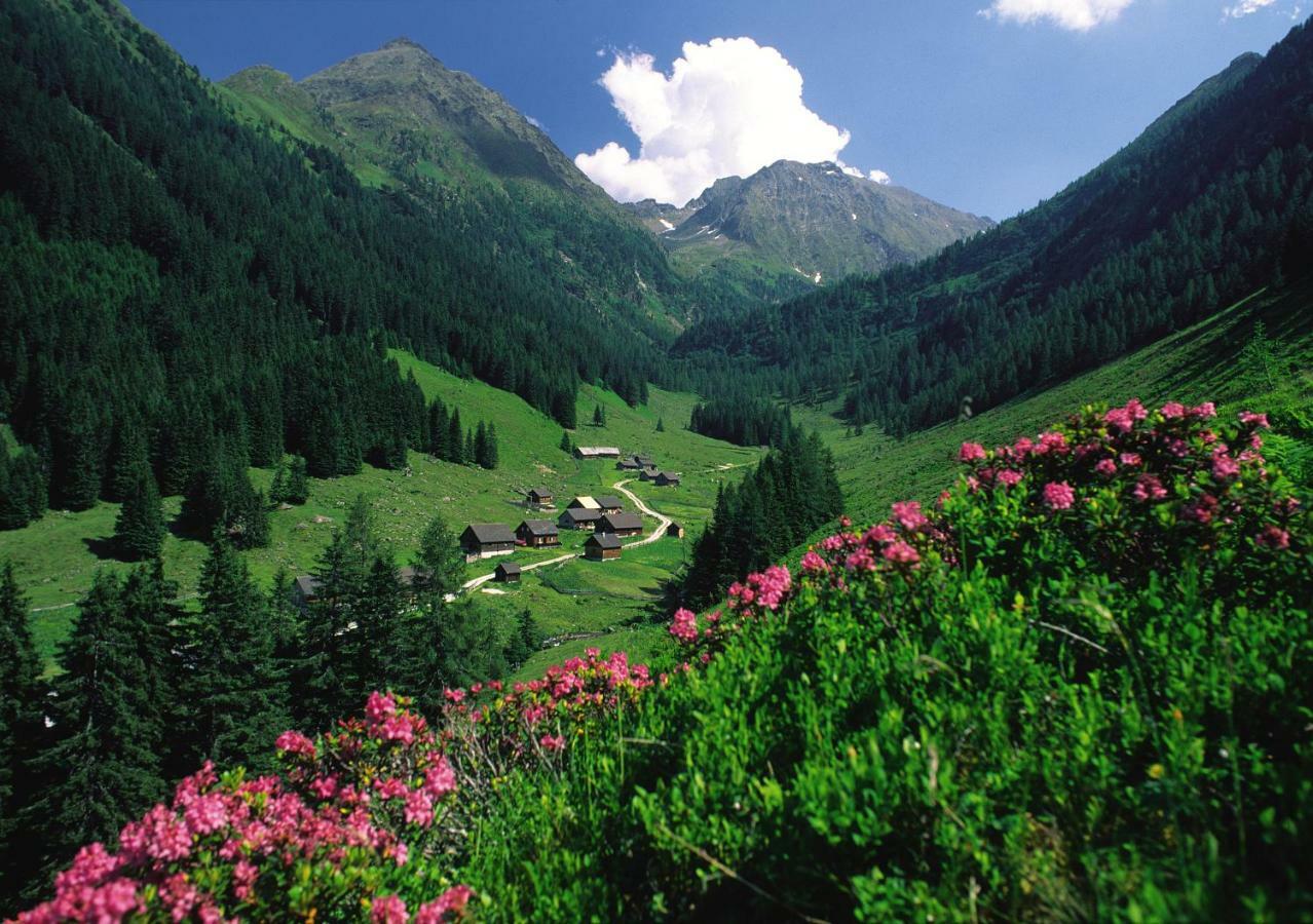 Schieplechnerhof Apartment Schladming Ngoại thất bức ảnh