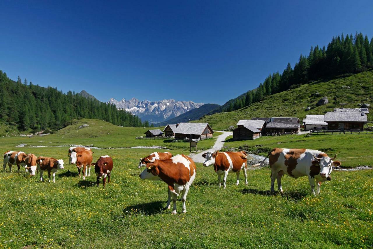 Schieplechnerhof Apartment Schladming Ngoại thất bức ảnh