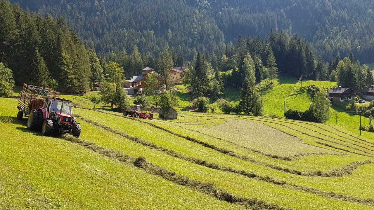 Schieplechnerhof Apartment Schladming Ngoại thất bức ảnh