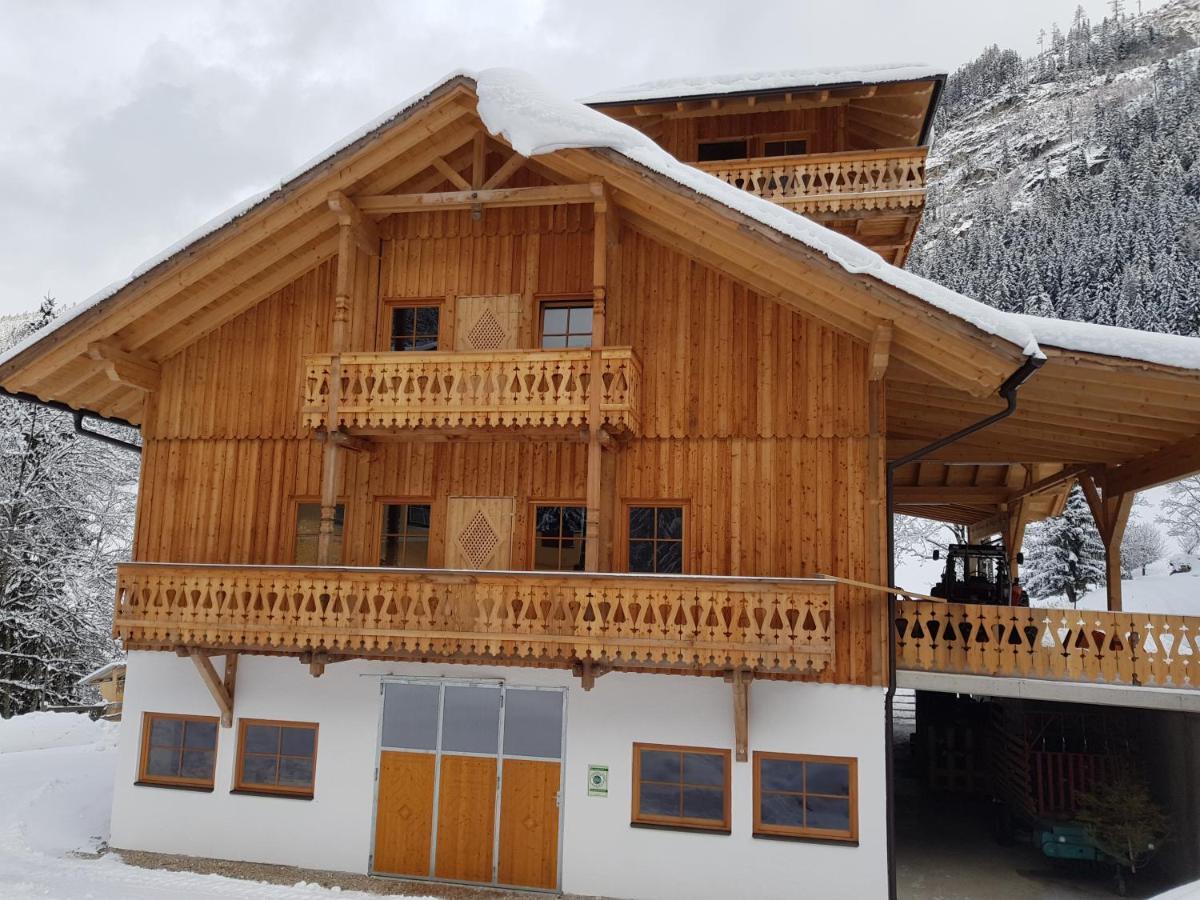 Schieplechnerhof Apartment Schladming Ngoại thất bức ảnh